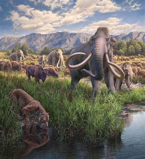 Ice Age Fossils State Park | Mammoths at the Springs :: Behance