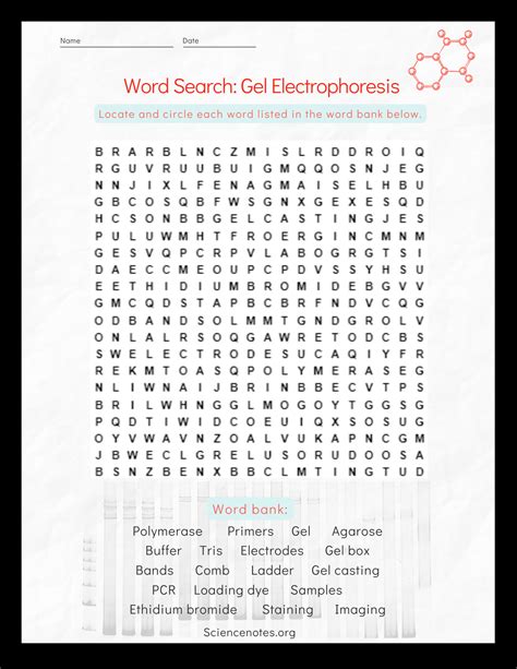 Gel Electrophoresis Word Search Puzzle - Worksheets Library