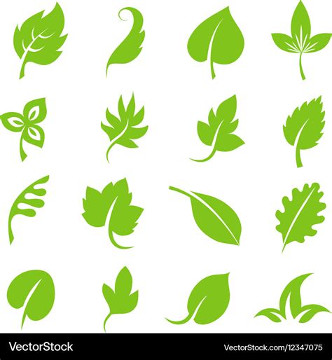 Leaf icon set fresh green leaves various shapes Vector Image