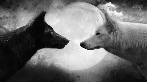 Wolves In The Moonlight, white wolf, abstract, fantasy, moon, wildlife ...