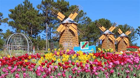 DaLat Flower Festival