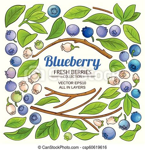 Blueberry Bush Clip Art - 55+ Koleksi Gambar