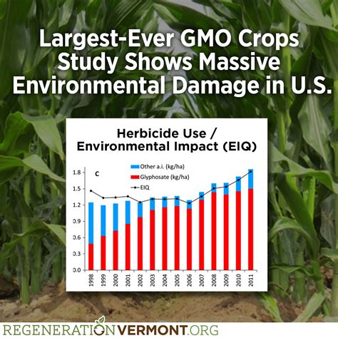 Largest-Ever GMO Crops Study Shows Massive Environmental Damage in US – Regeneration Vermont