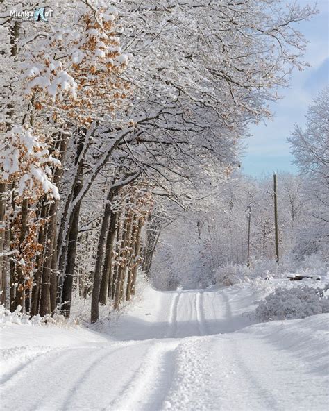 Winter in Michigan | "Fresh Tracks" countryside road in Winter | Beautiful winter scenes, Winter ...