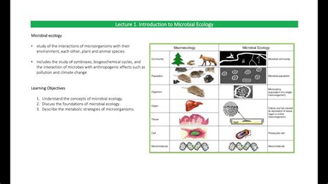 Lecture 1. Introduction to Microbial Ecology - YouTube