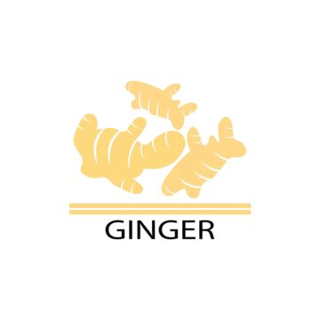 Ginger Logo PNG, Vector, PSD, and Clipart With Transparent Background ...