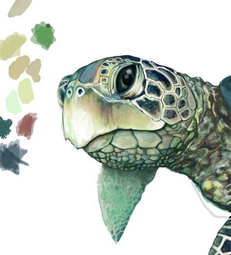 Sea Turtle Art, Turtle Love, Sea Turtles, Box Turtle, Sea Turtle ...