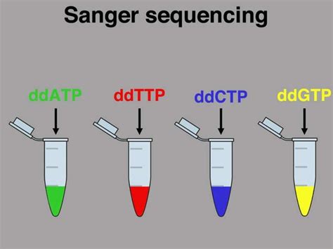 Sanger sequencing