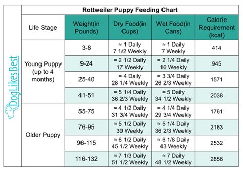 rottweiler dog food chart Rottweiler rottweilers pawleaks