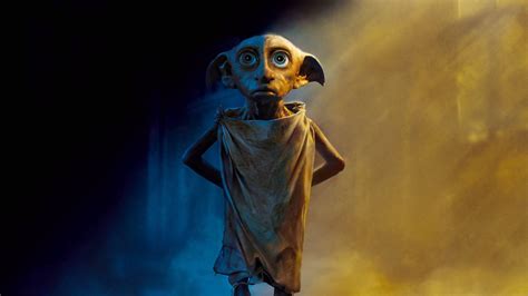 Dobby Wallpapers - Top Free Dobby Backgrounds - WallpaperAccess