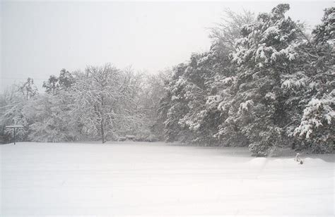 Oklahoma Snow Photograph by Mikki Simon - Fine Art America