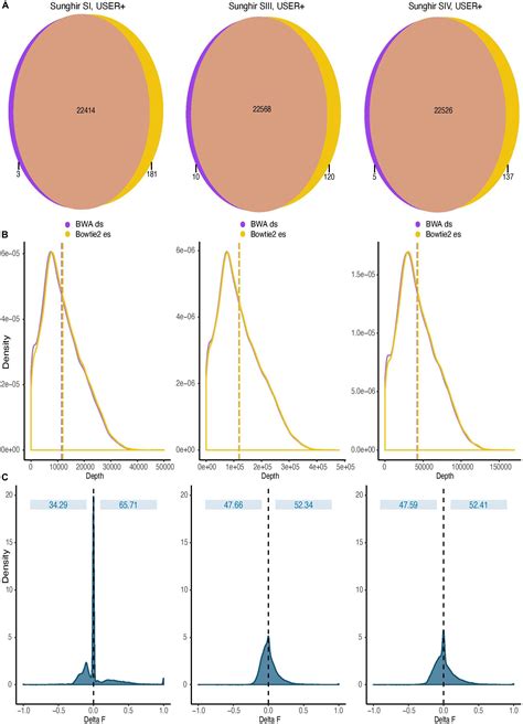 Frontiers | Assessing DNA Sequence Alignment Methods for Characterizing ...