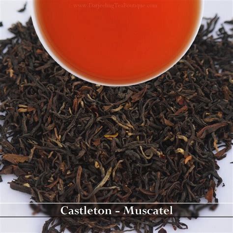 Darjeeling Tea | Buy Premium Loose Leaf Single Origin Tea Online