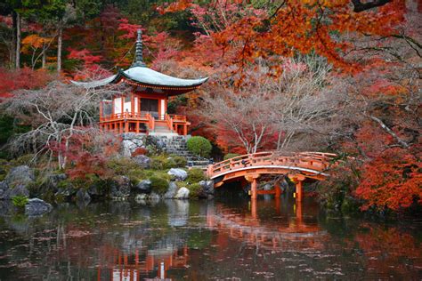 The 25 Most Inspiring Japanese Zen Gardens - Best Choice Schools