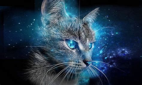 100 Background Abstrak Cat For FREE - MyWeb