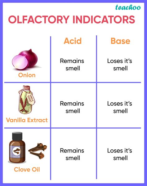 What are Olfactory Indicators? Give Examples - Teachoo - Teachoo Quest