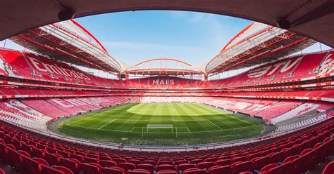 Benfica Stadium and museum tour | musement