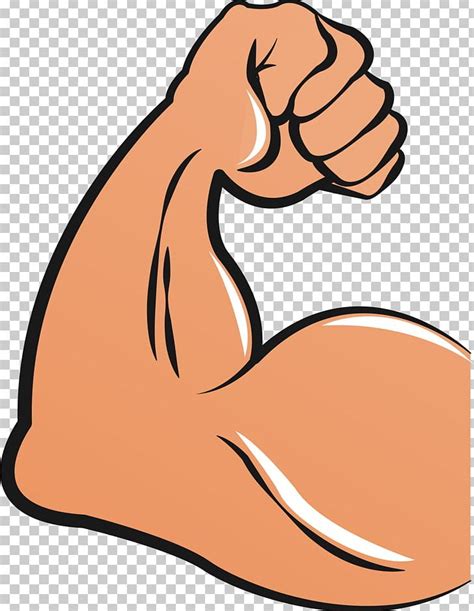 Biceps Arm Muscle PNG, Clipart, Area, Arm, Artwork, Biceps, Clip Art ...