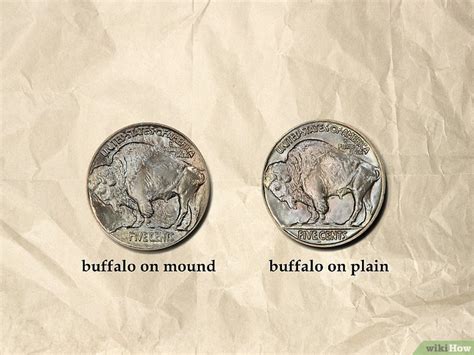 How to Find the Value of a Buffalo Nickel: Key Dates & More