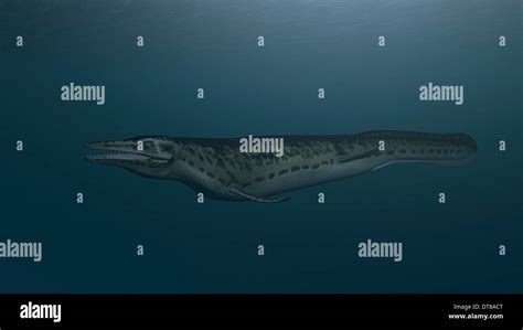 Mosasaur swimming in prehistoric waters Stock Photo - Alamy