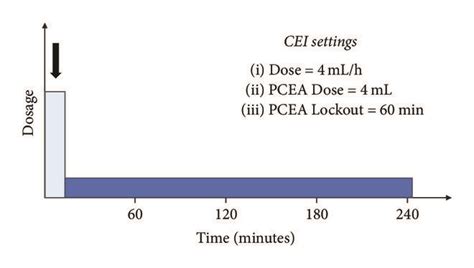 Pump settings in the (a) programmed intermittent epidural bolus (PIEB ...