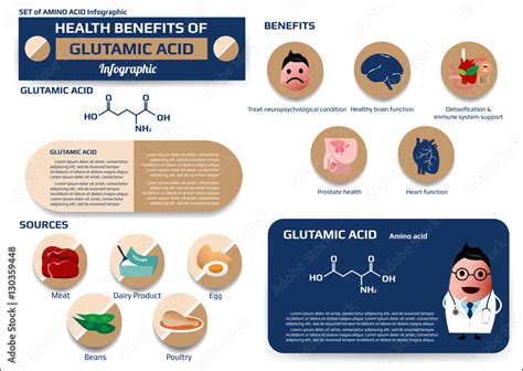 Health benefits of glutamic acid (amino acid) infographic, supplement and nutrition vector ...