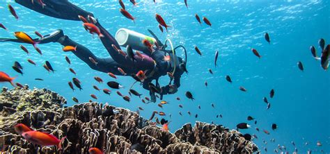 Scuba Diving in Gili Trawangan - Discover Top 5 Dive Sites