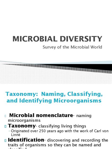 Microbial Diversity Updated | PDF | Cell (Biology) | Biological ...