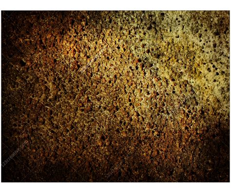 4 Grunge porous stone textures (high resolution) - 123creative.com