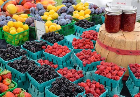 Finding and Buying Delicious Seasonal Fruit | Clubs of America