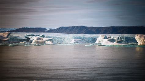 many melting icebergs in Antarctica 5576321 Stock Video at Vecteezy