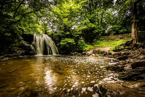 Free picture: landscape, nature, stream, water, wood, waterfall