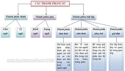 Thành phần biệt lập là gì? Ví dụ, dấu hiệu nhận biết & bài tập - Wonderkids Education