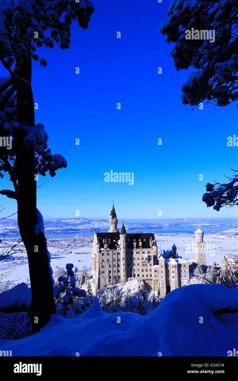 Neuschwanstein castle with lake Forggensee in winter - 27 November 2013 Stock Photo - Alamy