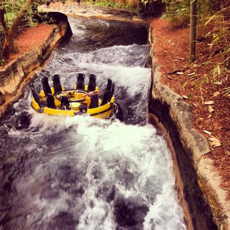 Busch Gardens Congo River Rapids - ThemeParkHipster