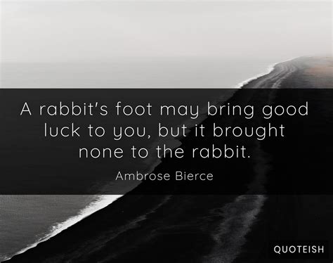 15 Rabbit Quotes - QUOTEISH