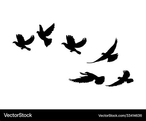 Silhouette flock flying birds flying birds Vector Image