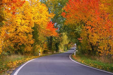 Fall Leaves: Why Do Leaves Change Color in the Fall? | The Old Farmer's ...