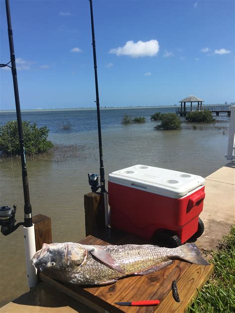 Pin on Fishing at Port Isabel, Tx.