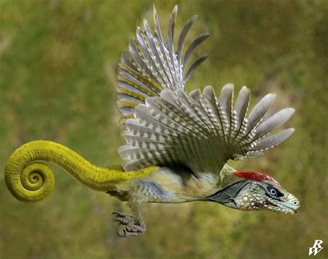 Flying lizard by Dwarf4r on DeviantArt