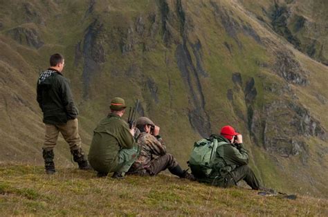 Pictures red deer hunting Scotland