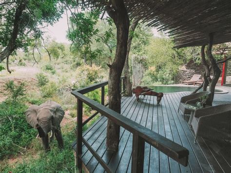 The 20 Best Safari Lodges in Africa | Best Caribbean Vacation Deals