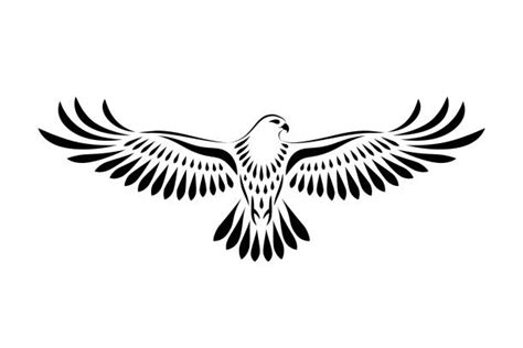 White Hawk Tattoo Illustrations, Royalty-Free Vector Graphics & Clip ...