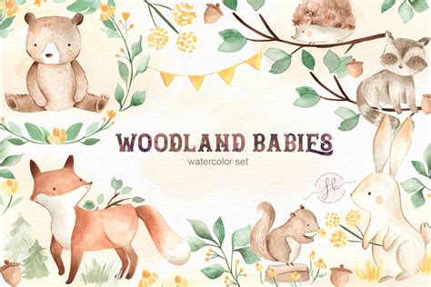 Woodland Babies | Animal Illustrations ~ Creative Market