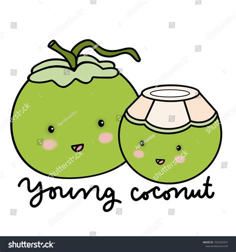 Young Coconut Water Drink Cartoon Drawing: ภาพประกอบสต็อก 1562422591 ...