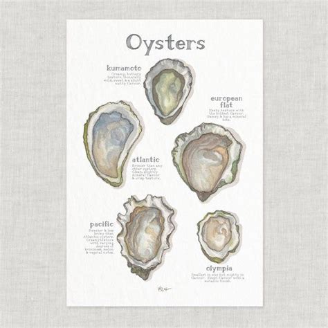 Oysters / Poster / Seafood / Food / Food & Cooking / - Etsy | Oysters, Types of oysters, Giclee ...