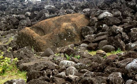 Easter Island | Easter island, Ancient mysteries, Archaeology