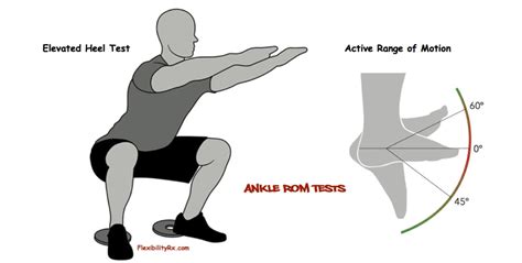 FitnessAssessment | FlexibilityRx™ - Performance Based Flexibility Training