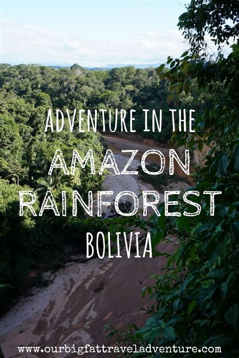 Adventure in the amazon rainforest bolivia – Artofit