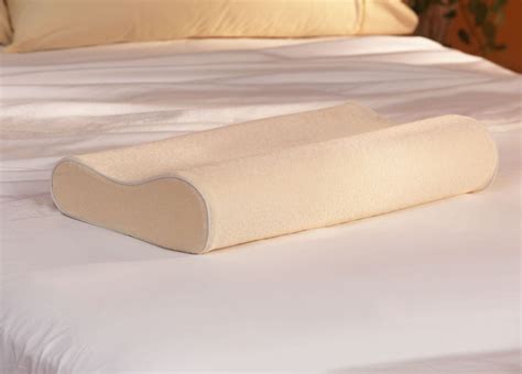 Goose Down Contour Latex Foam Core Pillow - Overstock™ Shopping - Great Deals on National Sleep ...